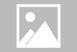 蝌蚪视频网,揭秘网络短视频的魅力与奥秘