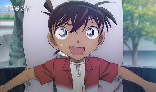 柯南视频,揭秘神秘案件背后的真相与智慧